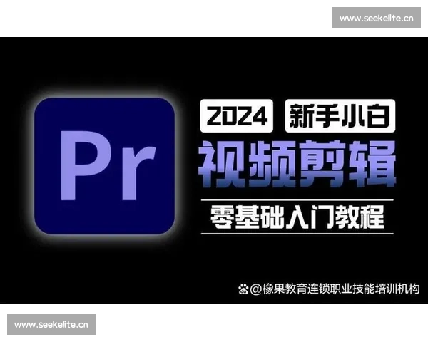 零基础快速掌握视频剪辑的系统入门学习全流程全面实操提升指南